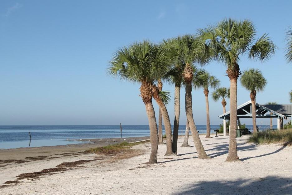 Walk Everywhere! 1-Bedroom Gem In Downtown Hub New Port Richey Bagian luar foto